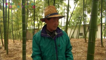 150520 Yokoyama Yui – Kyoto Irodori Nikki ep23.mp4