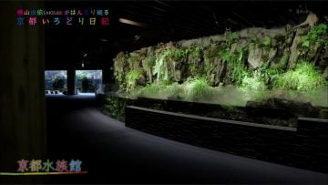 150722 Yokoyama Yui – Kyoto Irodori Nikki ep25.mp4