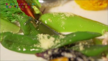 151119 Yokoyama Yui – Kyoto Irodori Nikki SP ep29.mp4