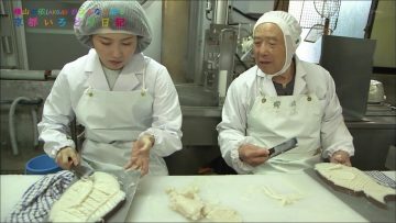 160120 Yokoyama Yui – Kyoto Irodori Nikki ep31.mp4