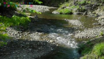 160622 Yokoyama Yui – Kyoto Irodori Nikki ep36.mp4