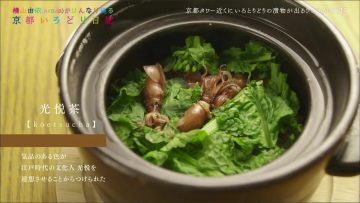 190320 Yokoyama Yui (AKB48) ga Hannari Meguru Kyoto Irodori Nikki (HD).mp4