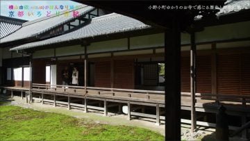 191120 Yokoyama Yui (AKB48) ga Hannari Meguru Kyoto Irodori Nikki (HD).mp4