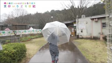 200318 Yokoyama Yui ga Hannari Meguru Kyoto Irodori Nikki – HD.mp4