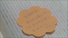 AKB48 35th Singe – 秘密のダイアリー （Baby Elephants）.mp4