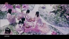 AKB48 – Maebure (SSTV+).mp4