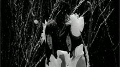 AKB48 – Rinjin wa Kizutsukanai.mp4