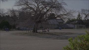 AKB48 – Sakura no ki ni narou.mp4