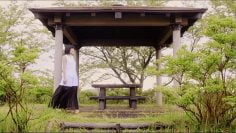 NMB48 – Ima Naraba (今ならば) (SayaMilky).mp4