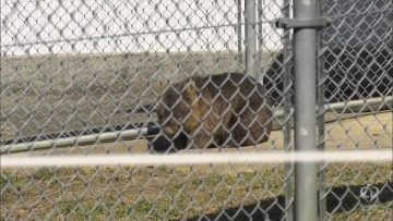 (NMB48)Pokupoku Hyakkei Mogumogu Tabi ep23.mp4