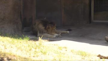 (NMB48)Pokupoku Hyakkei Mogumogu Tabi ep42 1080p 60fps.mp4