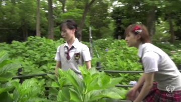 (NMB48)Pokupoku Hyakkei Mogumogu Tabi ep78 1080p 60fps (180706).mp4