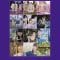 Nogizaka ALL MV COLLECTION