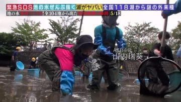 210214 Kinkyu SOS! Ike no Mizu Zenbu Nuku Dai Sakusen – AKB48 Oya Shizuka, Yamauchi Mizuki – HD.mp4-00001
