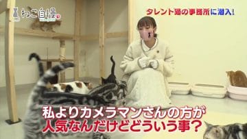 210217 Neko Jiman – ex-AKB48 Takahashi Minami – HD.mp4-00001