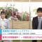 210307 Shogi Focus – Nogizaka46 Mukai Hazuki – HD.mp4-00001