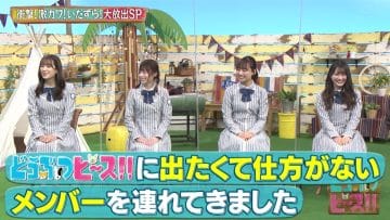 210311 Doubutsu Peace!! SP – Hinatazaka46 – HD.mp4-00004