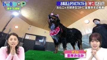 210313 Geinoujin ga Honki de Kangaeta! Dokkiri GP – AKB48 Minegishi Minami – HD.mp4-00009