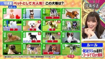 210323 Senzai Nouryoku Test – Hinatazaka46 Sasaki Kumi – HD.mp4-00009