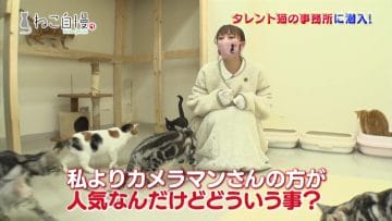 210324 Neko Jiman – ex-AKB48 Takahashi Minami – HD.mp4-00009