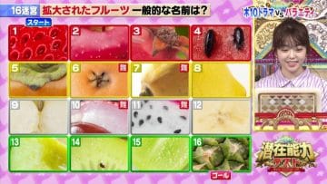 210406 Senzai Nouryoku Test 2Hours SP – AKB48 Minegishi Minami – HD.mp4-00011