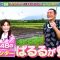 210501 Local Route Bus VS Rail Transit Confrontation Trip 5 Hokkaido – ex-AKB48 Shimazaki Haruka – HD.mp4-00001