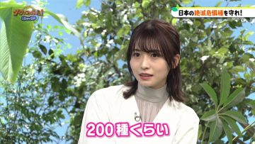 210505 Darwin ga Kita! 15th Anniversary SP – ex-Keyakizaka46 Nagahama Neru – HD.mp4-00001