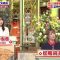 210508 Ikegami Akira no News Sodattanoka!! – Sakurazaka46 Sugai Yuuka – HD.mp4-00012