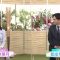210509 Shogi Focus – Nogizaka46 Mukai Hazuki – HD.mp4-00004