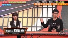 210602 Owarai Jitsuryokuha – Sakurazaka46 Harada Aoi – HD.mp4-00001