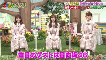 210603 Doubutsu Peace!! SP – Hinatazaka46 Kato Shiho, Sasaki Mirei, Takamoto Ayaka, Higashimura Mei – HD.mp4-00004