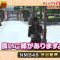 210615 Geinoukai Joushiki Check! ~Toriniku-tte Nani no Niku!~ – AKB48 Kashiwagi Yuki & NMB48 Shibuya Nagisa – HD.mp4-00007