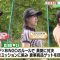 210617 Minna de BINGOLF – SKE48 Yamauchi Suzuran – HD.mp4-00002