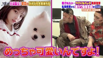 210625 Sakagami Dobutsu Oukoku – Nogizaka46 Yoda Yuki – HD.mp4-00003