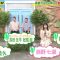 210705 Sekai Marumie! TV Tokusoubu Surprising Ending SP! – ex-Nogizaka46 Nishino Nanase – HD.mp4-00010