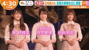 210719 Hinatazaka46’s TV News – Hayadoki! – HD.mp4-00003