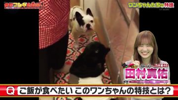 210808 Sekai Fushigi Douga Matsuri – Nogizaka46 Tamura Mayu – HD.mp4-00001