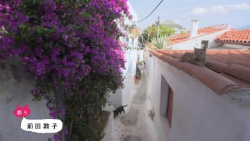 210817 Iwago Mitsuaki no Sekai Neko Aruki – ex-AKB48 Maeda Atsuko – HD.mp4-00001