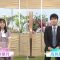210822 Shogi Focus – Nogizaka46 Mukai Hazuki – HD.mp4-00003