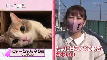 210825 Neko Jiman – ex-AKB48 Takahashi Minami – HD.mp4-00009