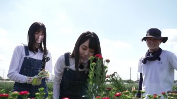 210831 Nogizaka46 to Issho ni Kuni Shoukokusan wo Manabou! – Nogizaka46 Higuchi Hina, Tamura Mayu – FHD.mp4-00004