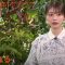 210914 7 Rules – ex-Keyakizaka46 Nagahama Neru – HD.mp4-00017