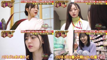 210916 THE Toppa File – Nogizaka46 Shibata Yuna, Umezawa Minami – HD-tile