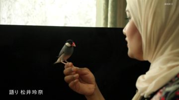 210926 FACES Ijime wo Koete 30min. – ex-SKE48 Matsui Rena – HD.mp4-00011