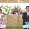 210926 Shogi Focus – Nogizaka46 Mukai Hazuki – HD.mp4-00003