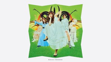 Nogizaka46 – Kimi ni Shikarareta – Type D