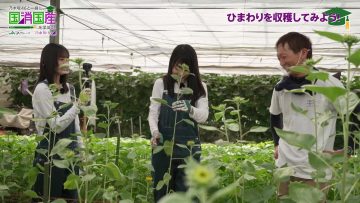 210930 Nogizaka46 to Issho ni Kuni Shoukokusan wo Manabou! – Nogizaka46 Endo Sakura, Kaki Haruka – FHD.mp4-00008