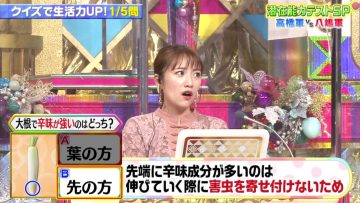 211005 Senzai Nouryoku Test 2Hours SP – ex-AKB48 Takahashi Minami – HD.mp4-00001