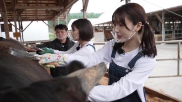 211007 Nogizaka46 to Issho ni Kuni Shoukokusan wo Manabou! – Nogizaka46 Endo Sakura, Kaki Haruka – FHD.mp4-00001