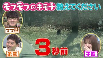 211010 Geki Kawa Mofumofu 91 Renpatsu! ~Doubutsu no Kimochi ga Wakaru Mori 4~ – ex-Nogizaka46 Matsumura Sayuri – HD.mp4-00014